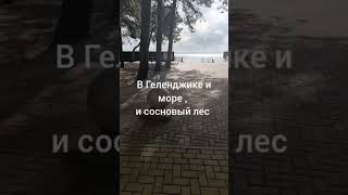 Отличный вариант для отдыха 👍#загородныйдом #дача #я #хорошеенастроение