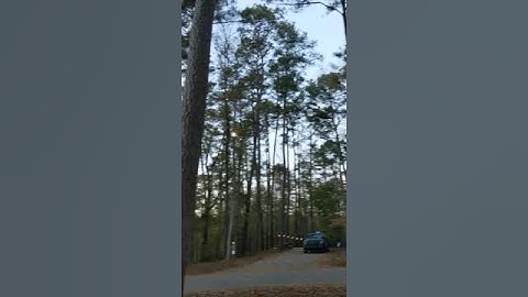 Transform Your Space: Stunning Outdoor Solar String Lights Ideas