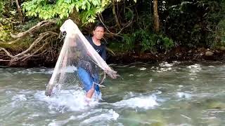Sungai bersih Air Jernih Menjala Cari Ikan Semah, fishing net