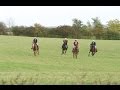 Pearson eventing at the grafton team chase 19th october 2014