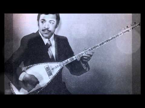 Neşet Ertaş - Araver Araver Dağlar Araver