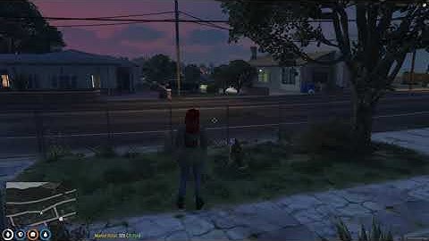 NPC having issues in GTA V FiveM
