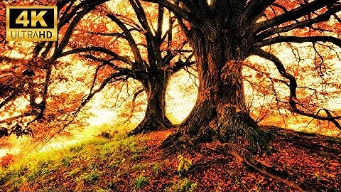 Beautiful Relaxing Music, Peaceful Soothing Instrumental Music, "Golden Autumn October FAST RELAX !