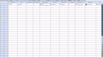 SPSS 19 Distribución de frecuencias de una variable cualitativa nominal
