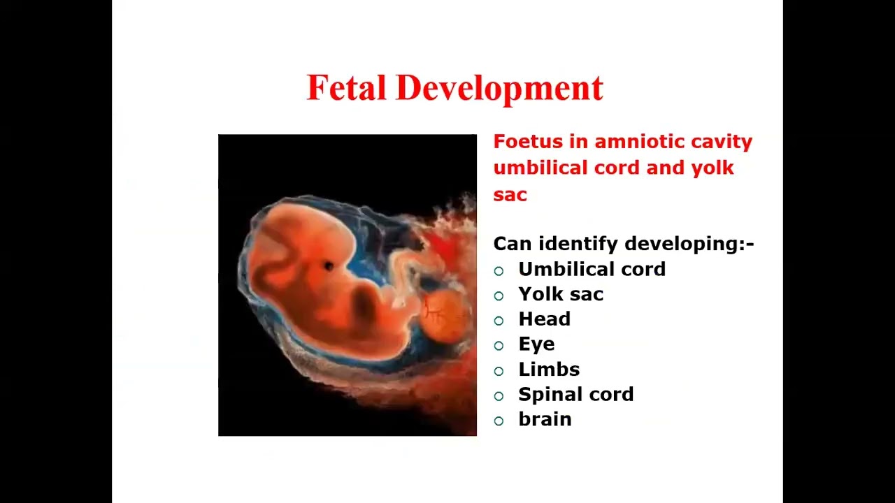 Introduction to Embryology