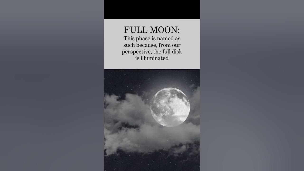 Phases of the Mooon - YouTube