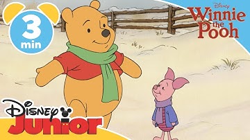 The Mini Adventures of Winnie the Pooh | Pooh and Piglet Corner | @disneykids