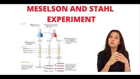 Meselson–Stahl experiment explained | With CSIR NET PYQs | Part - 2 Video of the Series