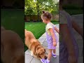 مش هتصدق الطفل الغضبان من نباح الكلب مواقف مضحكة مع الكلاب K G Studio إنتاج Dogshorts Cutebaby 