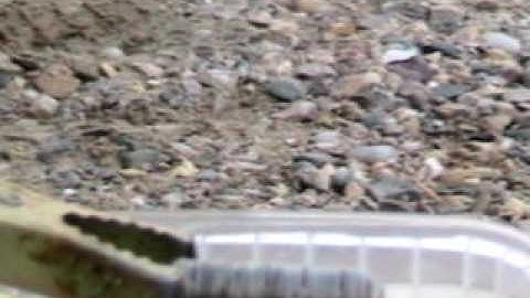 Hydrogen for Mythbusters HHO