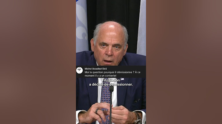 Pourquoi le ministre Pierre Fitzgibbon démissionne-t-il ? #actualités #politique
