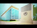 The world health organization how does it work  afp