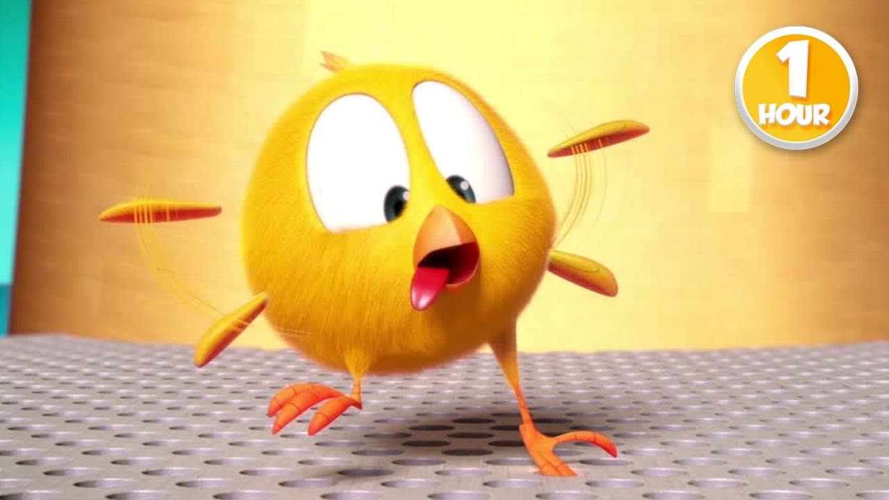 CHICKY | Watch out, Chicky! | 1 Hour Compilation | KIDS & FAMILY ...