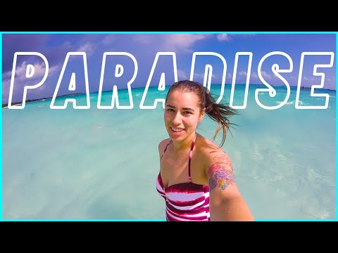 Visiting Playa Del Carmen Beaches & The Mayan Ruins, Tulum Vlog