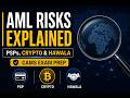PSPs, MSBs, Hawala, Crypto and Insurance ML Risks Explained | CAMS Exam Prep