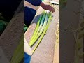 Technique Of Peeling And Cutting Asparagus Shorts 