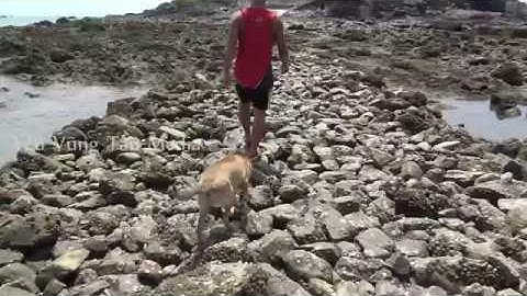 Hòn Bà Vũng Tàu ngày nước rút