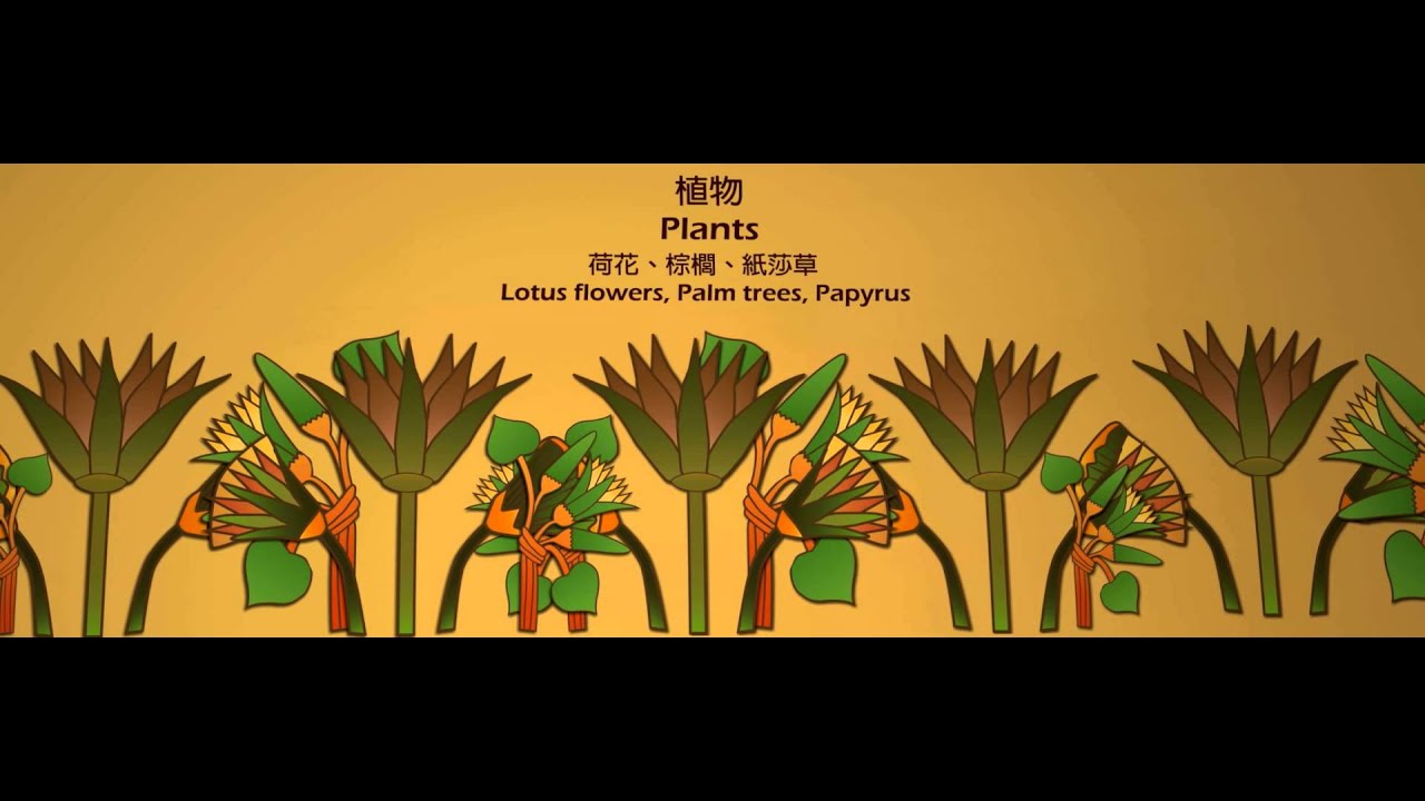 Egypt Motion Graphic (Updated) YouTube