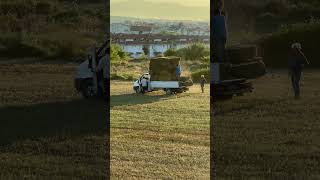 Hayat mücadeleden ibarettir ‘ işin biterse ölürsün .