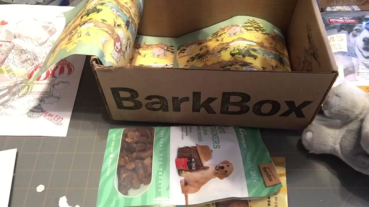 February BarkBox YouTube