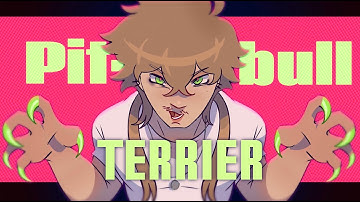 PITBULL TERRIER || OC animation meme