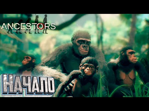 Видео: НАЧАЛО - Ancestors the Humankind Odyssey