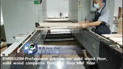 Reignmac woodworking machinery double end tenoner RMD6025M processing wood floor