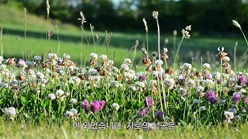사랑은 배우는 것, "Love is learning"