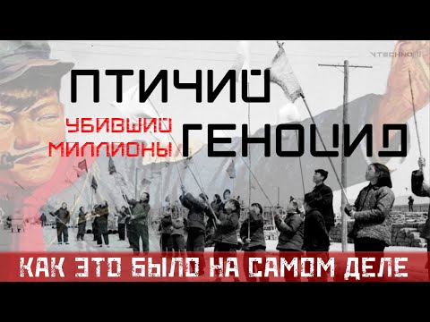 КАК В КИТАЕ УБИВАЛИ ВОРОБЬЕВ и ПОПЛАТИЛИСЬ за ЭТО - КАК ЭТО БЫЛО НА САМОМ ДЕЛЕ