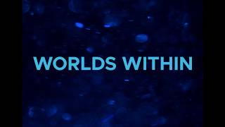 Worlds Within | Experimental Film