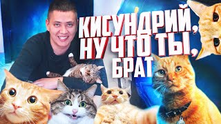 ИЛЬДАР АВТО-ПОДБОР - ЛУЧШИЕ ЦИТАТЫ, ЧАСТЬ 4