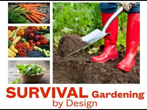 Survival Gardening - Sunday with Jerry (part1)