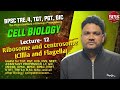 Cell biology | L -12 | Amembranous cell organelles | Ribosome | centrosome| Cillia and flagella |
