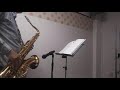 「ノラ」を吹いてみた!!️😃🎶#ノラ#門倉有希#サックス#テナーサックス#歌謡曲#お父さんが泣いてよろこぶ#sax#SAX