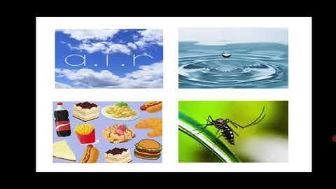 class 5 EVS 1 chapter 23. Infectious Diseases and how to prevent them.