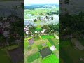 কেমন লাগে গ্রামের গাছপালা। #shortvideo