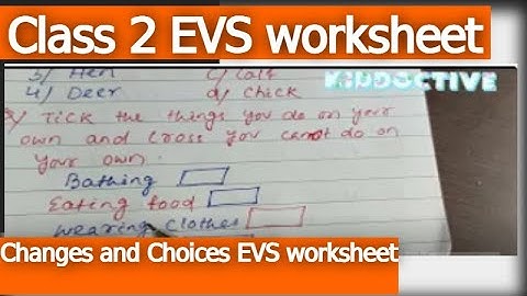 Class 2 EVS worksheet || Changes and Choices EVS worksheet ||