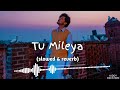 Tu Mileya-Lofi l slowed and reverb l Darshan Raval Mp3 Song