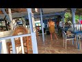 Boat Bar on 7 Mile Beach   Negril, Jamaica (Jan 2021)