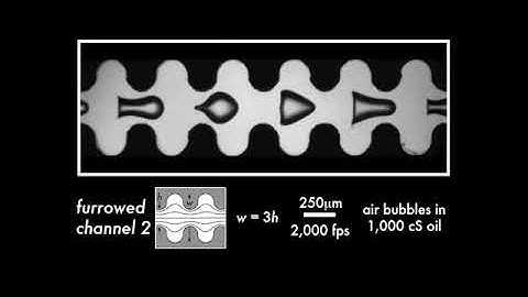 Dolomite and Lab on a Chip 2017 MicroTAS video – Runner-up