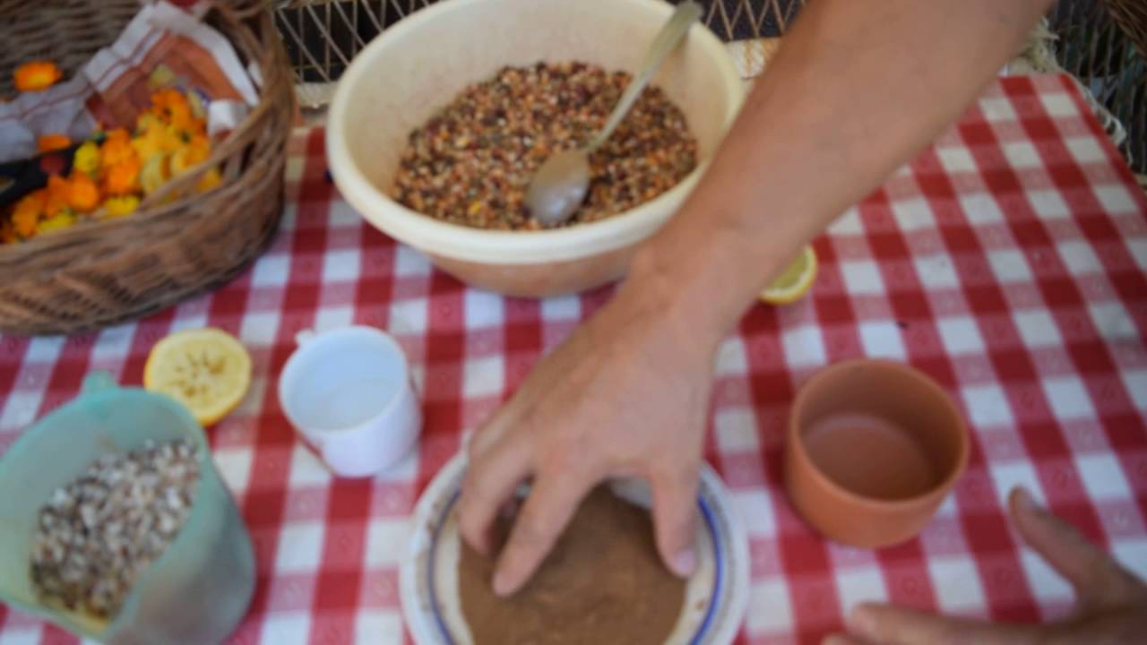 How to use Cinnamon to treat pigeons diseases ! ! ! YouTube