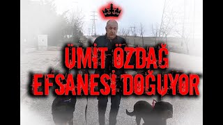 Ümit Özdağ Ali Babacana Acımıyor Ümit Özdağ Edit Atatürk