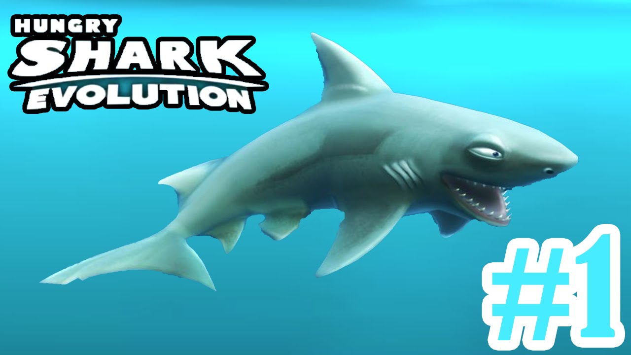 Hungry Reef Shark!!! Hungry Shark Evolution 1 YouTube Hungry Reef Shark!!! Hungry Shark Evolution 1 YouTube