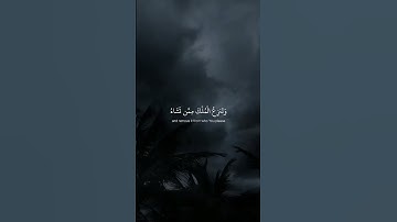 #الله #لا_اله_الا_الله #تلاوة_خاشعة #رح_سمعك #اكسبلور #foryou #viral