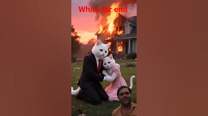 Video 10494181: cat facts funny cartoon, cat animation cartoon cute