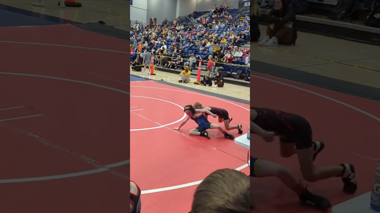 Lima wrestling 2024 Springdale Showdown