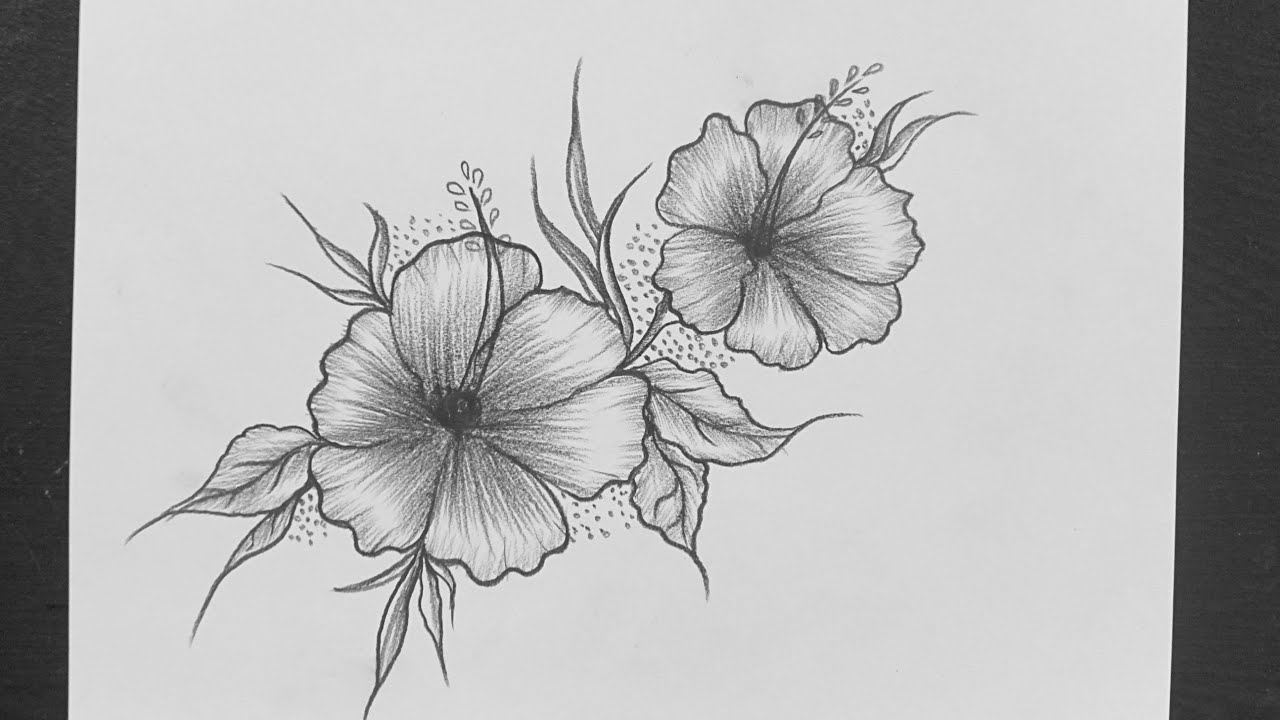 Easy Flower Drawing With Pencil || How To Draw Flower Pencil ...