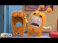 Лысый и прекрасный | Чуддики | Смешные мультики для детей Oddbods