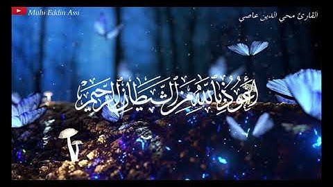 أجمل تلاوة خاشعة هادئة ماتيسر من سورة النمل القارئ محي الدين عاصي Muhi Eddin Assi أرح قلبك وسمعك