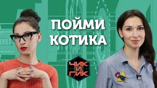 Чик и Гик Пойми котика